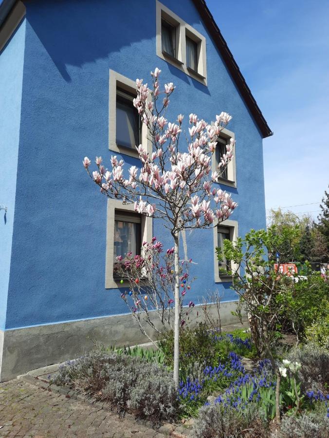 Kunstoase Am Blauen Haus Appartement Dresden Buitenkant foto